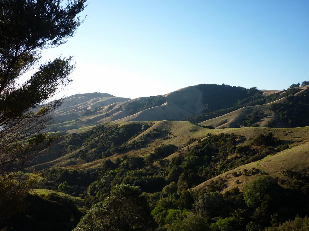 New_Zealand (1034).JPG